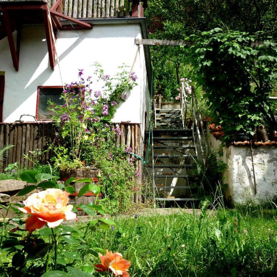 Zeitraum Fewo Appartement Bad Wildungen Buitenkant foto